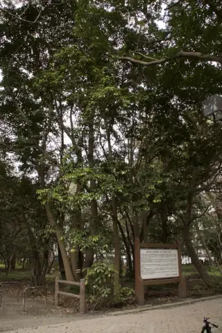 鹿児島大学植物園