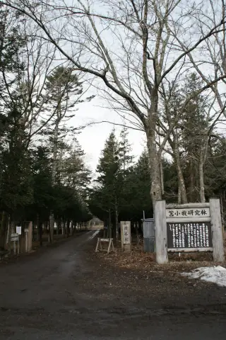 北大苫小牧研究林