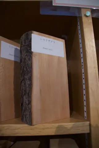 東大北海道演習林